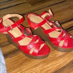 Tommy Hilfiger heals